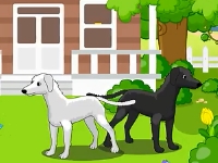 世界上最大的狗—愛(ài)爾蘭獵狼犬